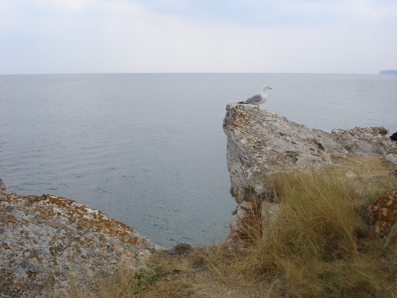 Demian: Lucians Melody