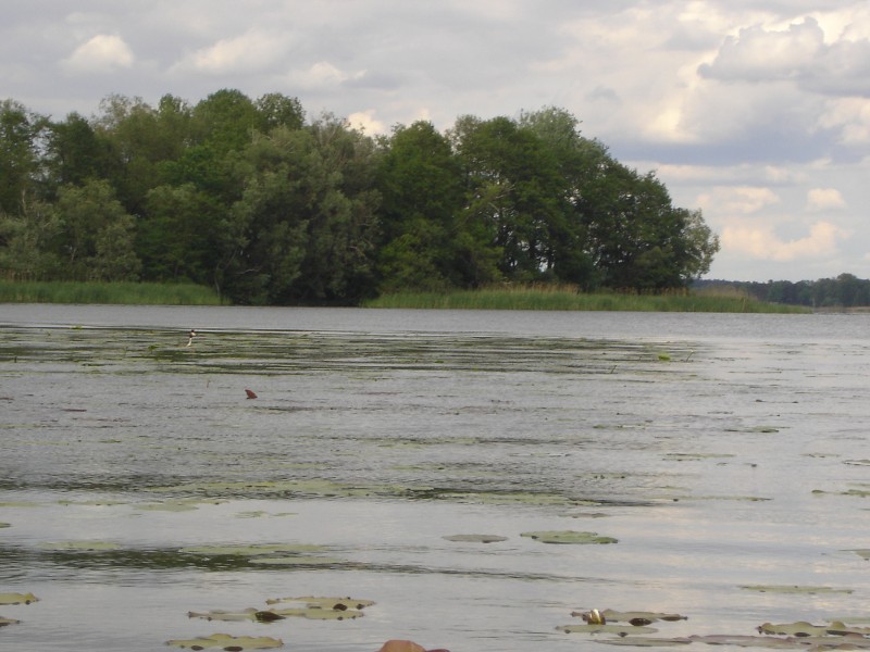 Demian: Lucians Melody