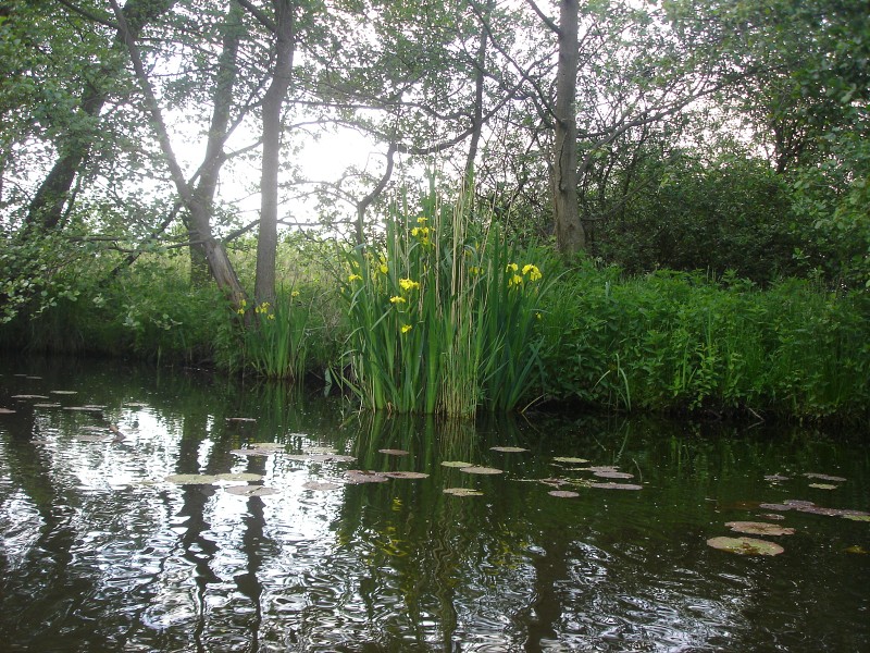 Demian: Lucians Melody