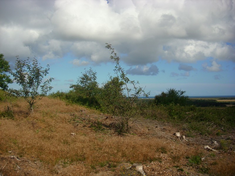 Demian: Lucians Melody