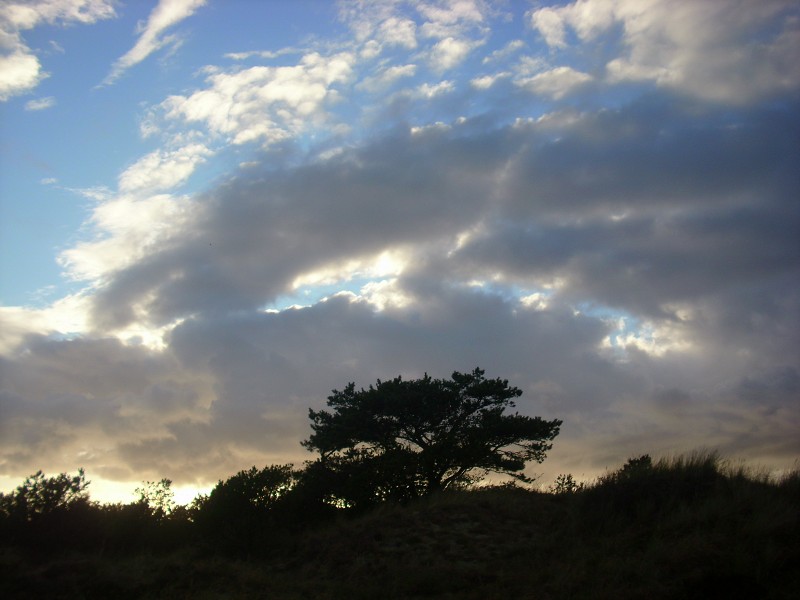 Demian: Lucians Melody