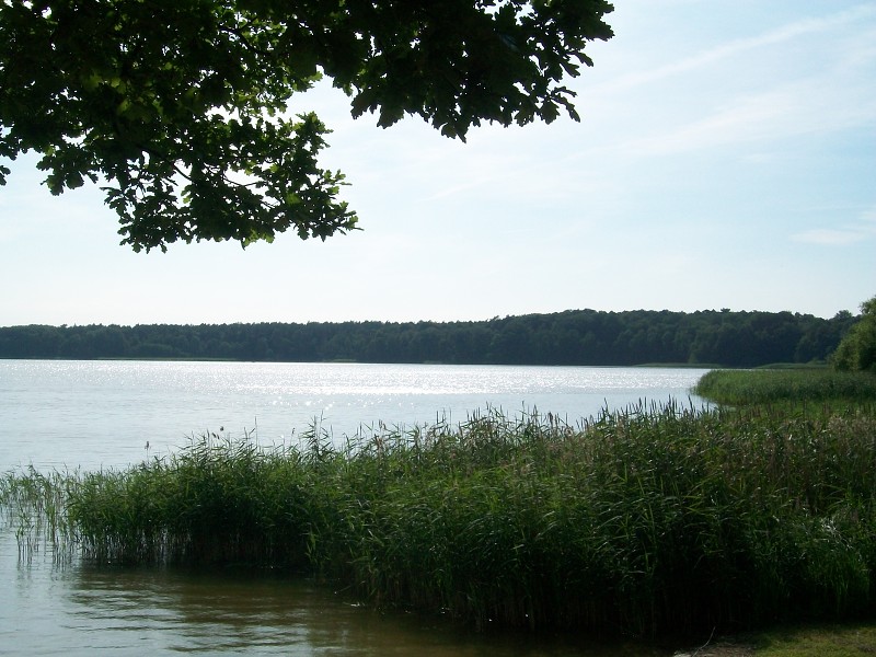 Demian: Lucians Melody