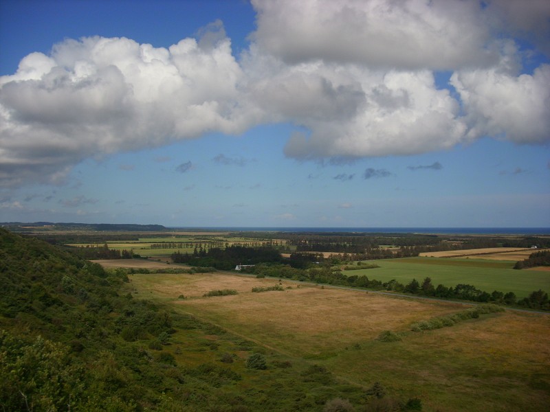 Demian: Lucians Melody