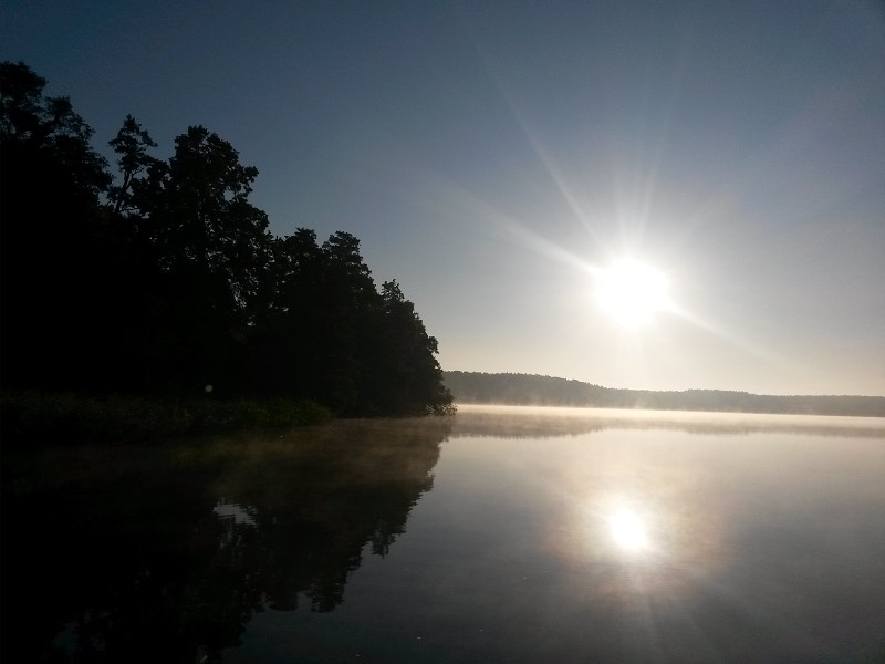 Demian: Lucians Melody