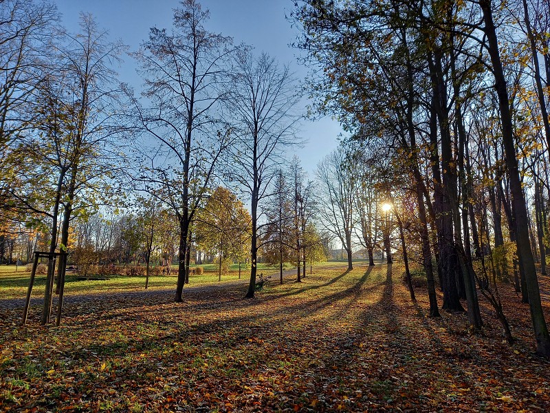 Demian: Lucians Melody